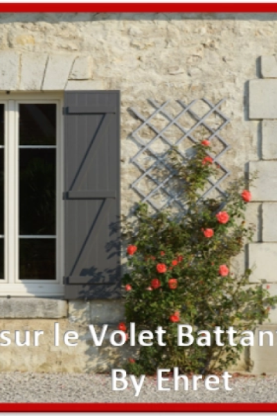 Volet battant gris ouvert sur façade pierre avec rosier rouge grimpant un treillis