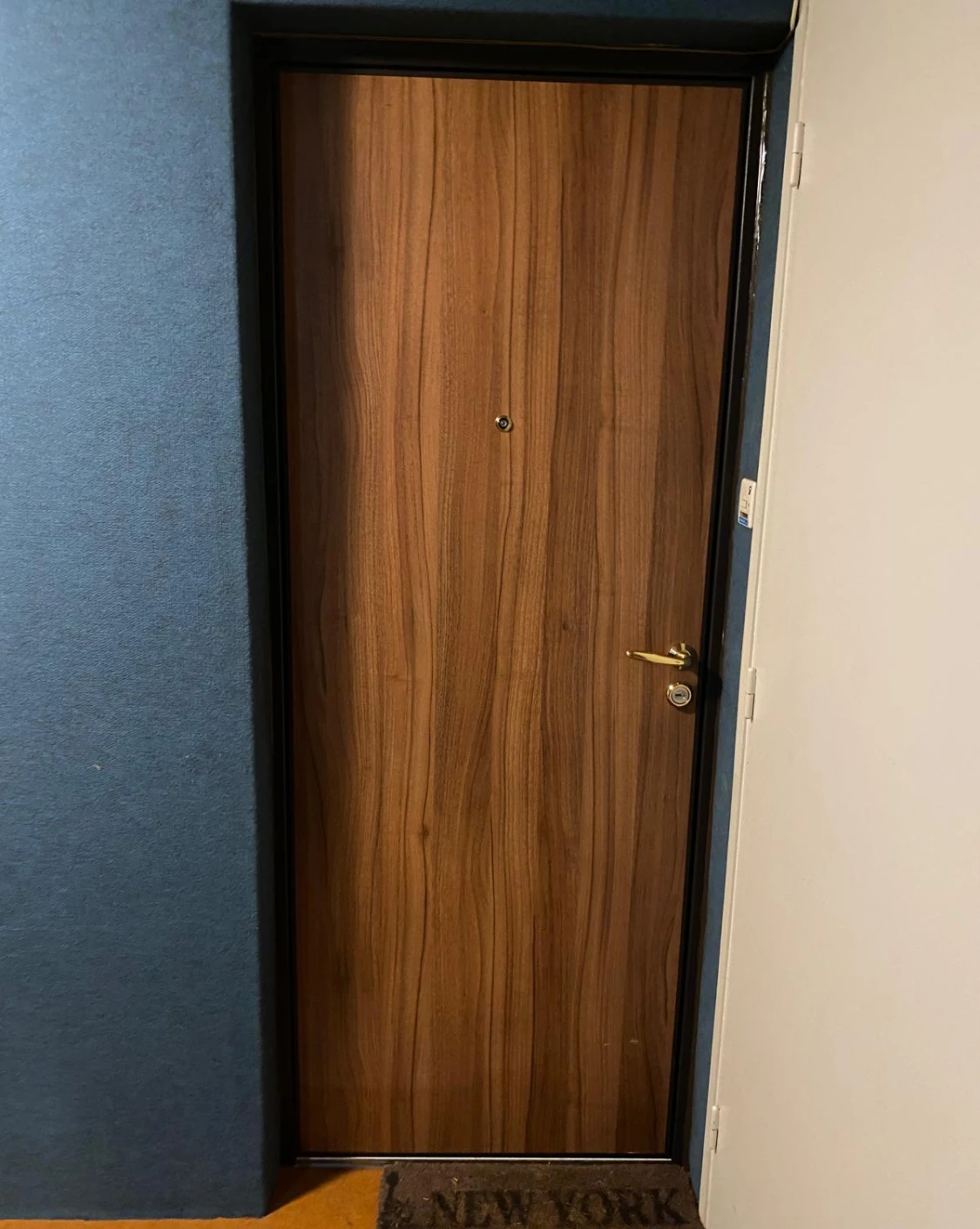 Porte d'entrée intérieure bois foncé, cadre noir, poignée laiton, œilleton et tapis NEW YORK