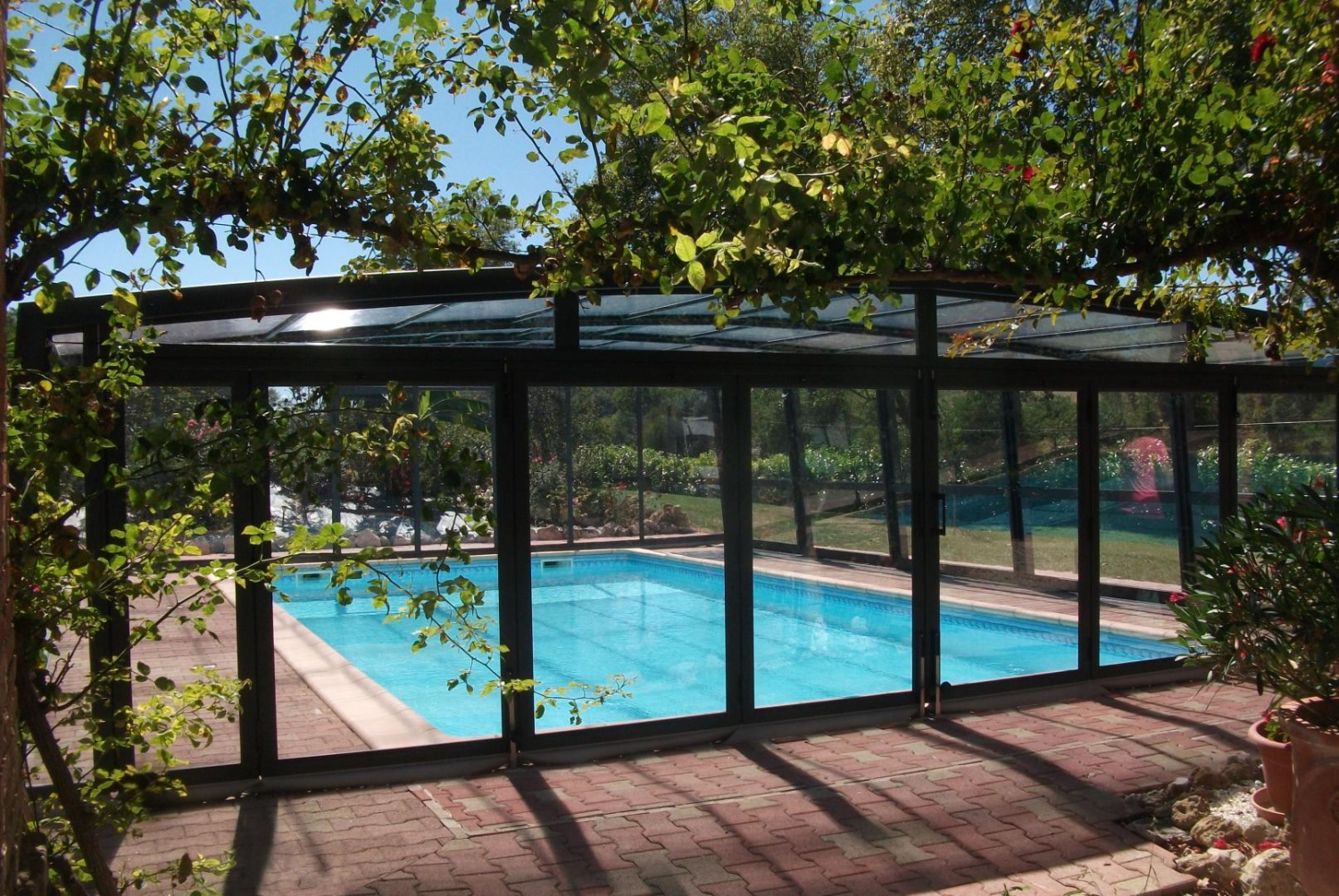 Abri piscine bas vitré anthracite, piscine bleue entourée de pavés rouges et jardin