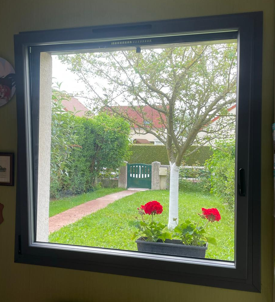 Fenêtre carrée alu anthracite donnant sur jardin, jardinière de géraniums rouges au rebord