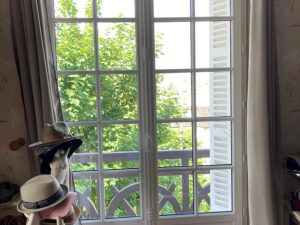 Porte-fenêtre blanche petits bois, persiennes blanches et chapeaux près du balcon