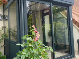 Extension anthracite baie coulissante, rosiers roses devant vitrage