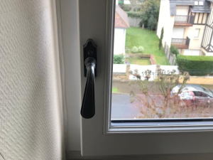Gros plan poignée crémone noire sur châssis blanc, vue quartier et pelouse