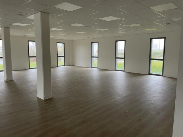 Open space, fenêtres verticales alu anthracite, plafond dalles et sol effet bois